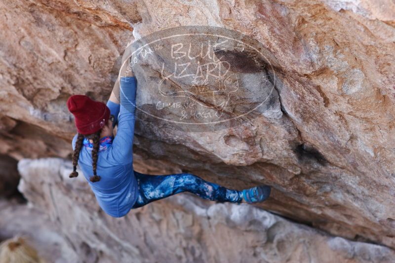 

Filename: SRM_20170103_1312050.jpg
Aperture: f/2.8
Shutter Speed: 1/640
Body: Canon EOS-1D Mark II
Lens: Canon EF 85mm f/1.2 L II
