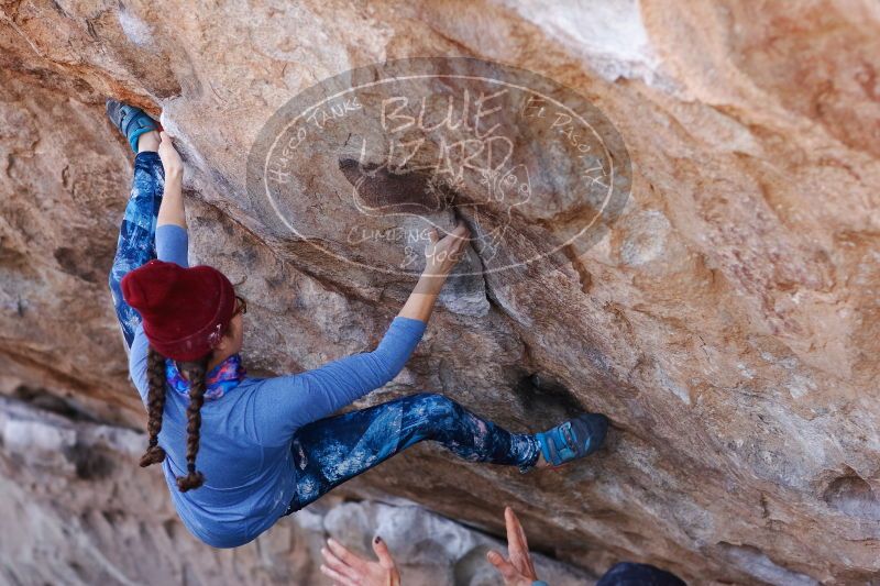 

Filename: SRM_20170103_1312150.jpg
Aperture: f/2.8
Shutter Speed: 1/640
Body: Canon EOS-1D Mark II
Lens: Canon EF 85mm f/1.2 L II