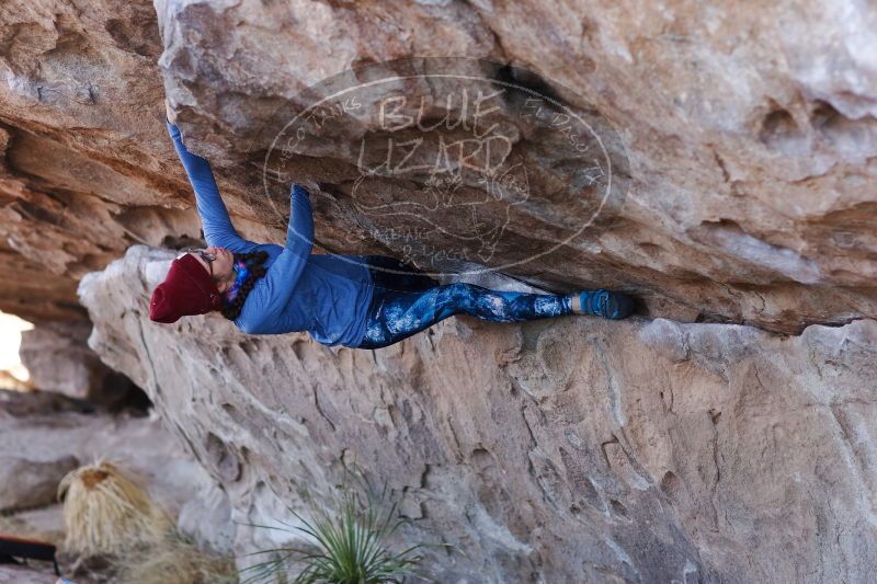 

Filename: SRM_20170103_1331140.jpg
Aperture: f/2.8
Shutter Speed: 1/400
Body: Canon EOS-1D Mark II
Lens: Canon EF 85mm f/1.2 L II