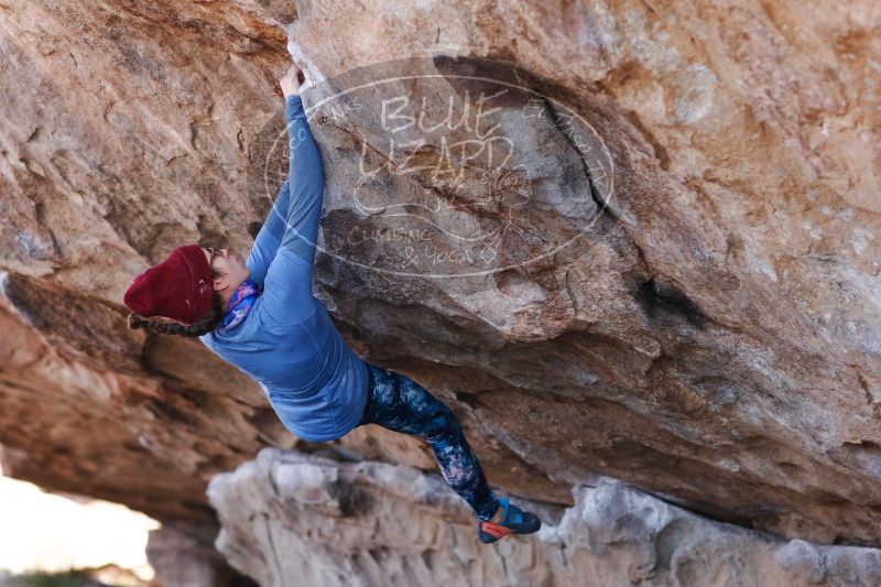 

Filename: SRM_20170103_1331291.jpg
Aperture: f/2.8
Shutter Speed: 1/500
Body: Canon EOS-1D Mark II
Lens: Canon EF 85mm f/1.2 L II