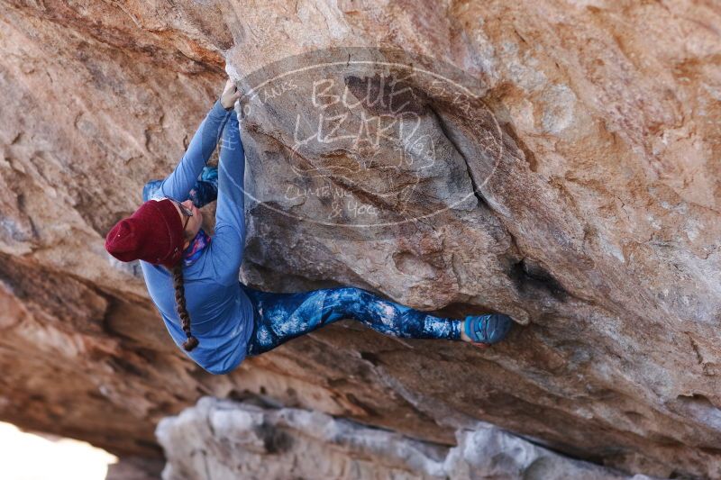 

Filename: SRM_20170103_1331340.jpg
Aperture: f/2.8
Shutter Speed: 1/500
Body: Canon EOS-1D Mark II
Lens: Canon EF 85mm f/1.2 L II