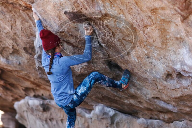 

Filename: SRM_20170103_1331380.jpg
Aperture: f/2.8
Shutter Speed: 1/500
Body: Canon EOS-1D Mark II
Lens: Canon EF 85mm f/1.2 L II