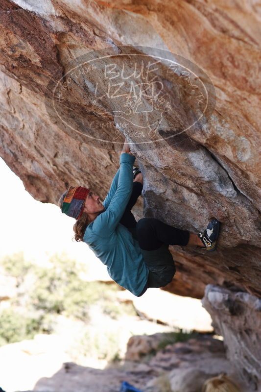 

Filename: SRM_20170103_1412570.jpg
Aperture: f/2.8
Shutter Speed: 1/640
Body: Canon EOS-1D Mark II
Lens: Canon EF 85mm f/1.2 L II