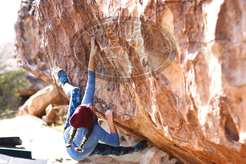 

Filename: SRM_20170103_1501370.jpg
Aperture: f/2.8
Shutter Speed: 1/320
Body: Canon EOS-1D Mark II
Lens: Canon EF 85mm f/1.2 L II