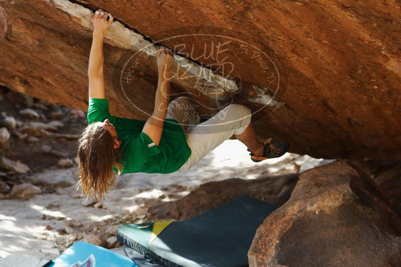 

Filename: SRM_20170103_1708211.jpg
Aperture: f/2.8
Shutter Speed: 1/500
Body: Canon EOS-1D Mark II
Lens: Canon EF 85mm f/1.2 L II