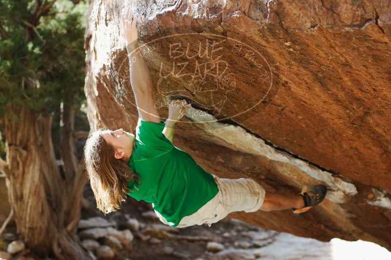 

Filename: SRM_20170103_1708421.jpg
Aperture: f/2.8
Shutter Speed: 1/500
Body: Canon EOS-1D Mark II
Lens: Canon EF 85mm f/1.2 L II