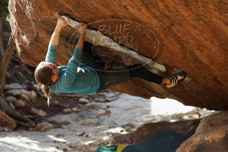 

Filename: SRM_20170103_1710201.jpg
Aperture: f/2.8
Shutter Speed: 1/500
Body: Canon EOS-1D Mark II
Lens: Canon EF 85mm f/1.2 L II