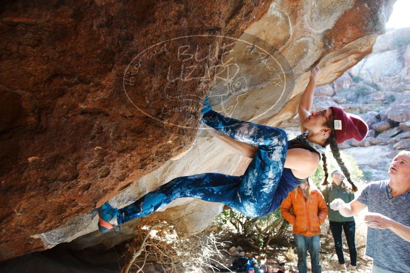 

Filename: SRM_20170104_1302361.jpg
Aperture: f/4.0
Shutter Speed: 1/250
Body: Canon EOS-1D Mark II
Lens: Canon EF 16-35mm f/2.8 L