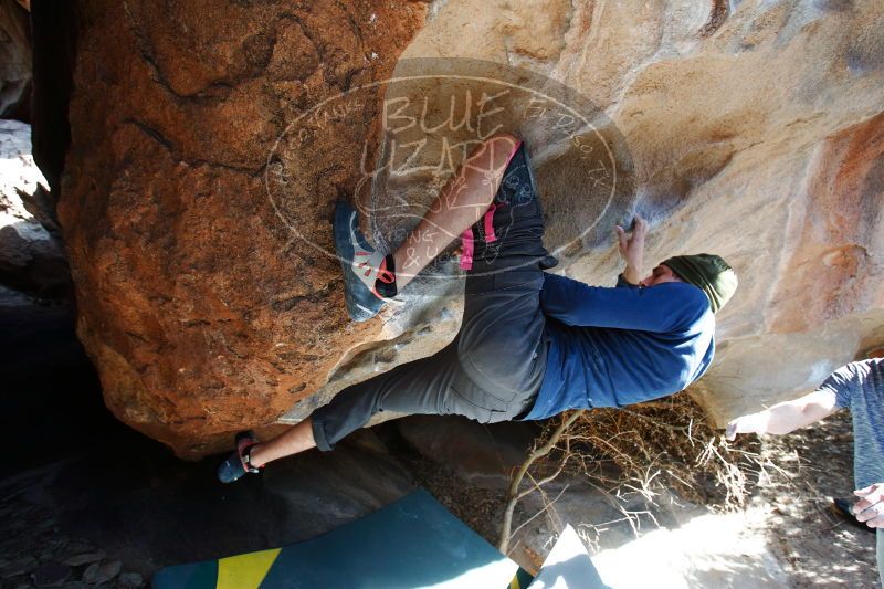 

Filename: SRM_20170104_1305080.jpg
Aperture: f/4.0
Shutter Speed: 1/250
Body: Canon EOS-1D Mark II
Lens: Canon EF 16-35mm f/2.8 L