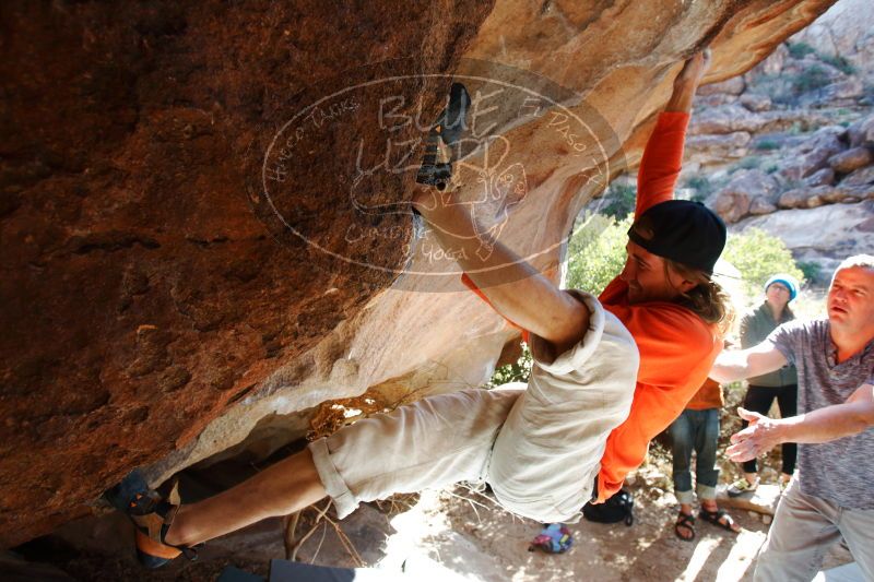 

Filename: SRM_20170104_1314310.jpg
Aperture: f/4.5
Shutter Speed: 1/250
Body: Canon EOS-1D Mark II
Lens: Canon EF 16-35mm f/2.8 L