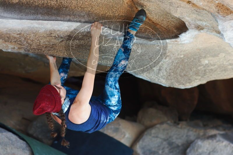

Filename: SRM_20170104_1404071.jpg
Aperture: f/2.8
Shutter Speed: 1/400
Body: Canon EOS-1D Mark II
Lens: Canon EF 85mm f/1.2 L II