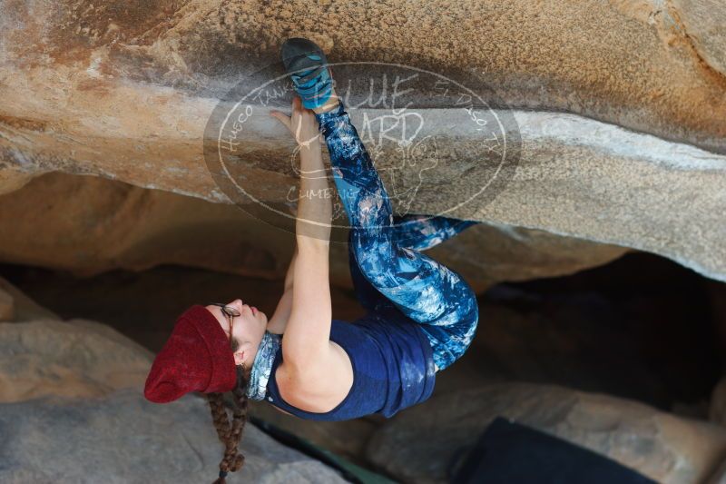 

Filename: SRM_20170104_1404140.jpg
Aperture: f/2.8
Shutter Speed: 1/400
Body: Canon EOS-1D Mark II
Lens: Canon EF 85mm f/1.2 L II