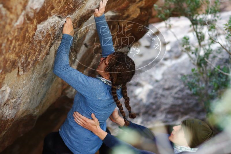 

Filename: SRM_20170105_1457542.jpg
Aperture: f/2.0
Shutter Speed: 1/640
Body: Canon EOS-1D Mark II
Lens: Canon EF 85mm f/1.2 L II