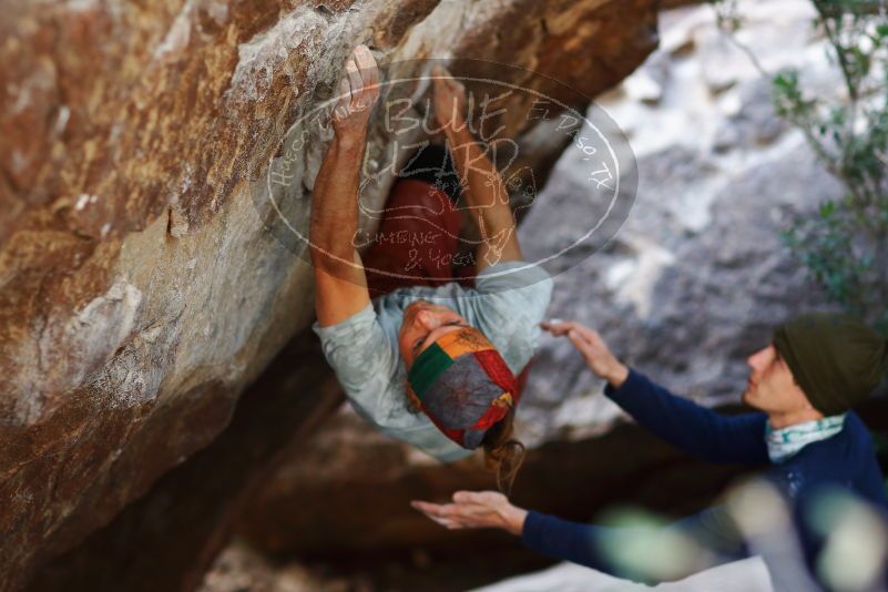 

Filename: SRM_20170105_1458441.jpg
Aperture: f/2.0
Shutter Speed: 1/640
Body: Canon EOS-1D Mark II
Lens: Canon EF 85mm f/1.2 L II