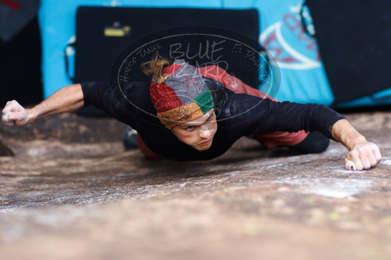 

Filename: SRM_20170105_1601390.jpg
Aperture: f/2.0
Shutter Speed: 1/500
Body: Canon EOS-1D Mark II
Lens: Canon EF 85mm f/1.2 L II