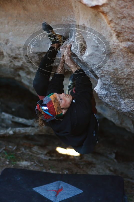 

Filename: SRM_20170105_1831272.jpg
Aperture: f/2.0
Shutter Speed: 1/500
Body: Canon EOS-1D Mark II
Lens: Canon EF 85mm f/1.2 L II