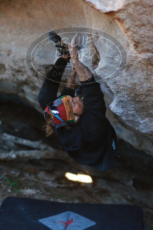 

Filename: SRM_20170105_1831273.jpg
Aperture: f/2.0
Shutter Speed: 1/500
Body: Canon EOS-1D Mark II
Lens: Canon EF 85mm f/1.2 L II
