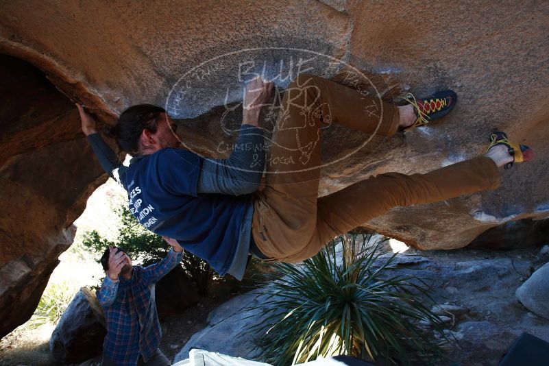 

Filename: SRM_20170128_1148160.jpg
Aperture: f/5.0
Shutter Speed: 1/320
Body: Canon EOS-1D Mark II
Lens: Canon EF 16-35mm f/2.8 L