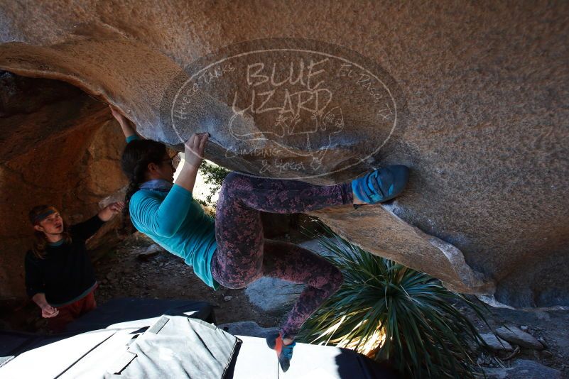 

Filename: SRM_20170128_1155055.jpg
Aperture: f/5.0
Shutter Speed: 1/250
Body: Canon EOS-1D Mark II
Lens: Canon EF 16-35mm f/2.8 L