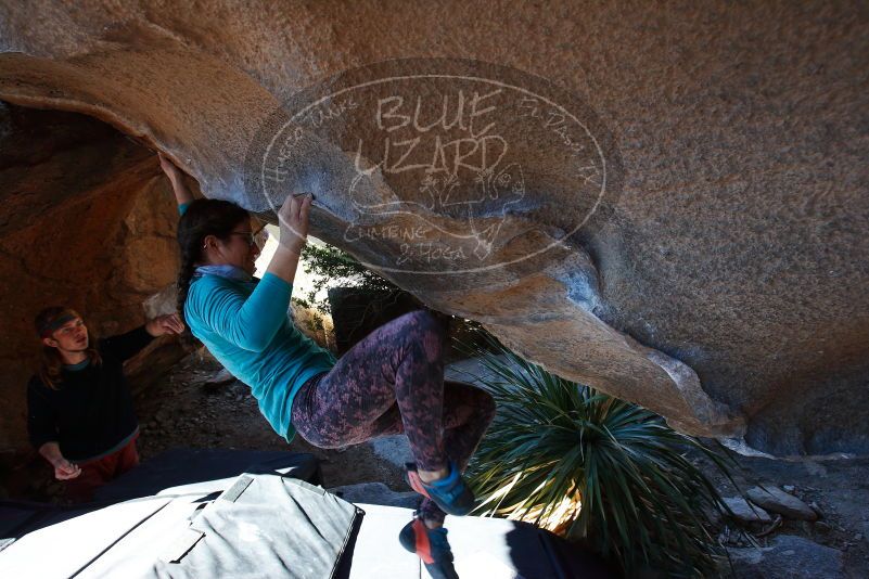 

Filename: SRM_20170128_1155060.jpg
Aperture: f/5.0
Shutter Speed: 1/320
Body: Canon EOS-1D Mark II
Lens: Canon EF 16-35mm f/2.8 L