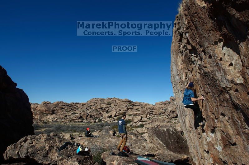 

Filename: SRM_20170129_1321470.jpg
Aperture: f/8.0
Shutter Speed: 1/250
Body: Canon EOS-1D Mark II
Lens: Canon EF 16-35mm f/2.8 L