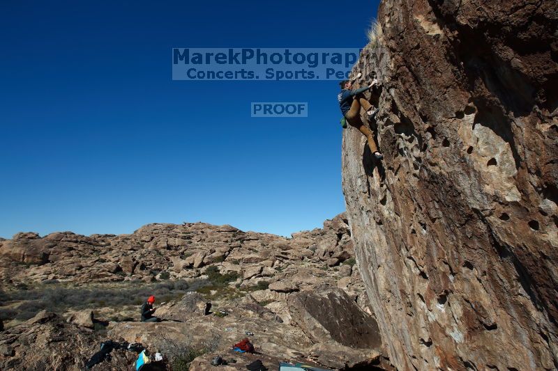 

Filename: SRM_20170129_1324000.jpg
Aperture: f/8.0
Shutter Speed: 1/250
Body: Canon EOS-1D Mark II
Lens: Canon EF 16-35mm f/2.8 L