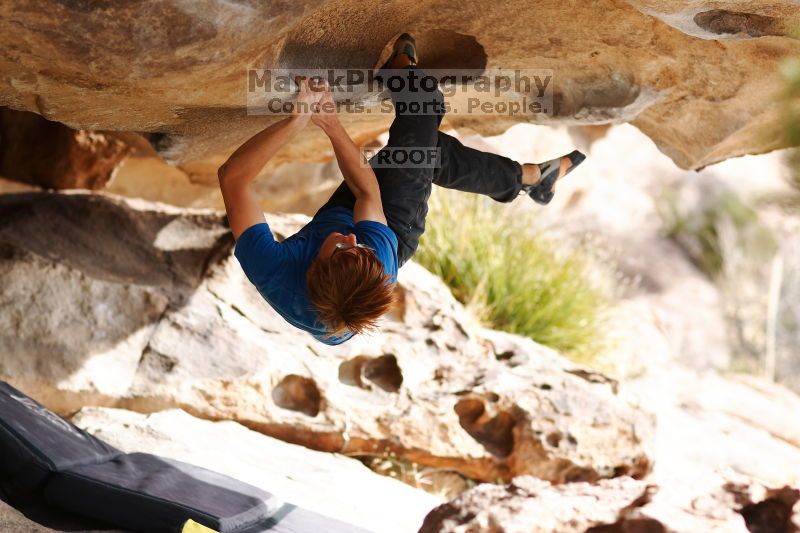

Filename: SRM_20170203_1012502.jpg
Aperture: f/2.2
Shutter Speed: 1/1600
Body: Canon EOS-1D Mark II
Lens: Canon EF 85mm f/1.2 L II