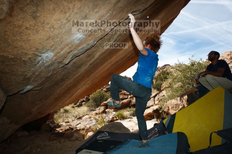 

Filename: SRM_20170203_1131540.jpg
Aperture: f/9.0
Shutter Speed: 1/250
Body: Canon EOS-1D Mark II
Lens: Canon EF 16-35mm f/2.8 L