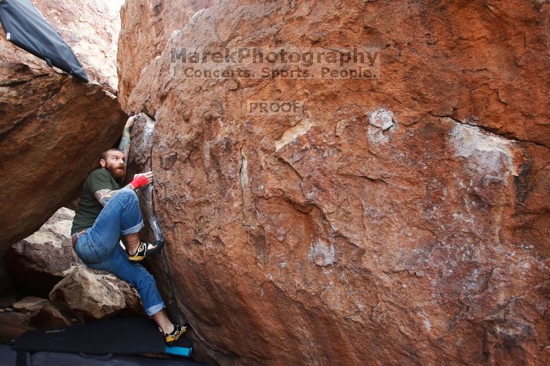 

Filename: SRM_20170218_0916420.jpg
Aperture: f/4.0
Shutter Speed: 1/320
Body: Canon EOS-1D Mark II
Lens: Canon EF 16-35mm f/2.8 L