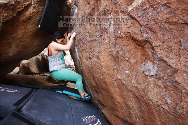 

Filename: SRM_20170218_0919230.jpg
Aperture: f/4.0
Shutter Speed: 1/250
Body: Canon EOS-1D Mark II
Lens: Canon EF 16-35mm f/2.8 L
