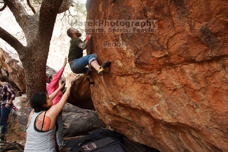 

Filename: SRM_20170218_0955381.jpg
Aperture: f/4.5
Shutter Speed: 1/400
Body: Canon EOS-1D Mark II
Lens: Canon EF 16-35mm f/2.8 L