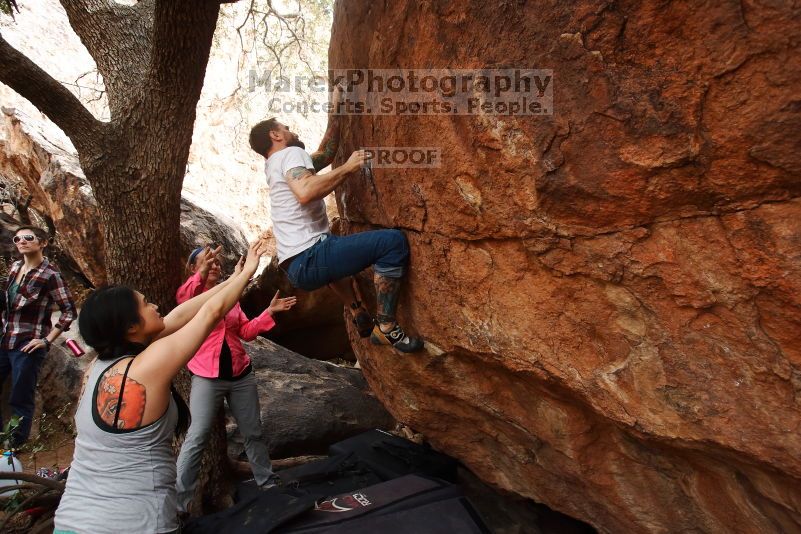 

Filename: SRM_20170218_0958121.jpg
Aperture: f/4.5
Shutter Speed: 1/500
Body: Canon EOS-1D Mark II
Lens: Canon EF 16-35mm f/2.8 L