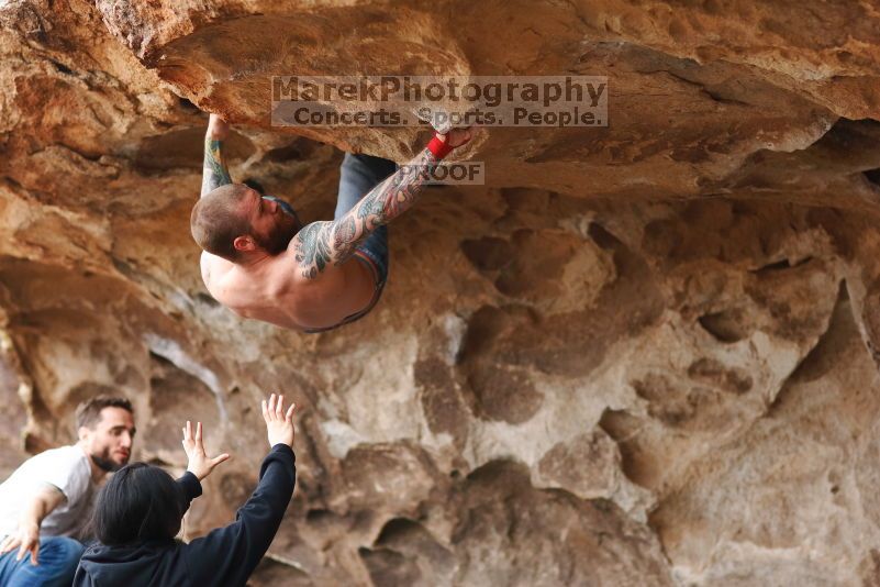 

Filename: SRM_20170218_1359250.jpg
Aperture: f/2.0
Shutter Speed: 1/1250
Body: Canon EOS-1D Mark II
Lens: Canon EF 85mm f/1.2 L II