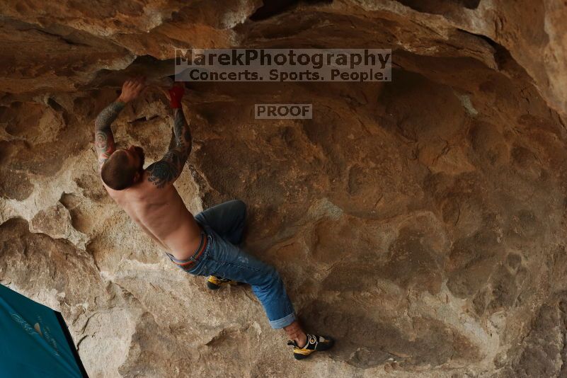 

Filename: SRM_20170218_1420450.jpg
Aperture: f/4.0
Shutter Speed: 1/400
Body: Canon EOS-1D Mark II
Lens: Canon EF 50mm f/1.8 II