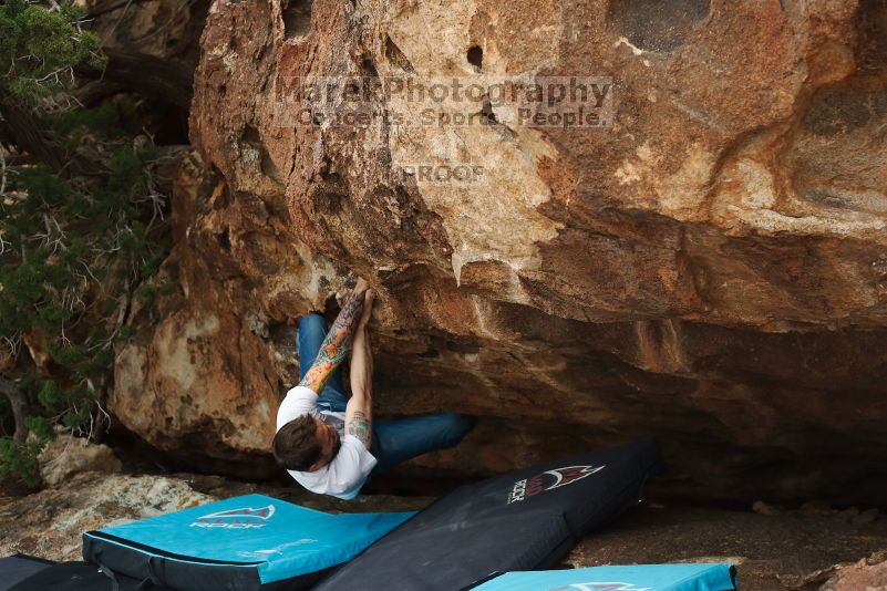 

Filename: SRM_20170218_1454450.jpg
Aperture: f/4.0
Shutter Speed: 1/400
Body: Canon EOS-1D Mark II
Lens: Canon EF 50mm f/1.8 II