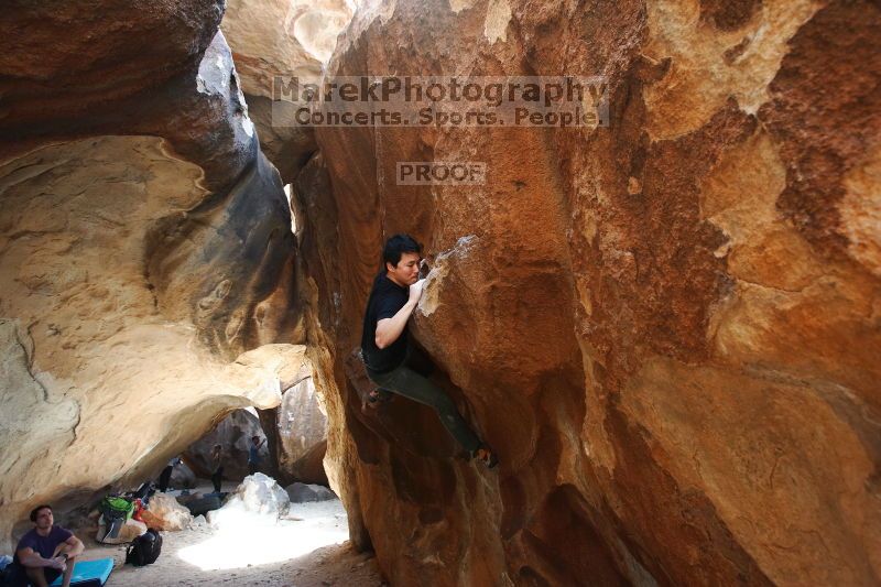 

Filename: SRM_20170311_1323391.jpg
Aperture: f/4.0
Shutter Speed: 1/320
Body: Canon EOS-1D Mark II
Lens: Canon EF 16-35mm f/2.8 L