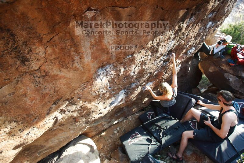 

Filename: SRM_20170311_1719250.jpg
Aperture: f/5.0
Shutter Speed: 1/200
Body: Canon EOS-1D Mark II
Lens: Canon EF 16-35mm f/2.8 L