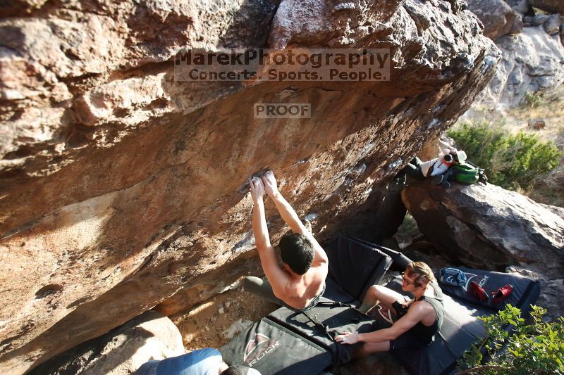 

Filename: SRM_20170311_1720052.jpg
Aperture: f/5.0
Shutter Speed: 1/400
Body: Canon EOS-1D Mark II
Lens: Canon EF 16-35mm f/2.8 L