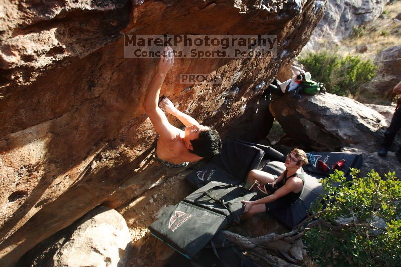 

Filename: SRM_20170311_1720130.jpg
Aperture: f/5.0
Shutter Speed: 1/500
Body: Canon EOS-1D Mark II
Lens: Canon EF 16-35mm f/2.8 L