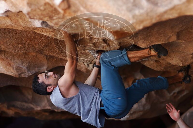 

Filename: SRM_20170312_1121180.jpg
Aperture: f/2.0
Shutter Speed: 1/800
Body: Canon EOS-1D Mark II
Lens: Canon EF 85mm f/1.2 L II