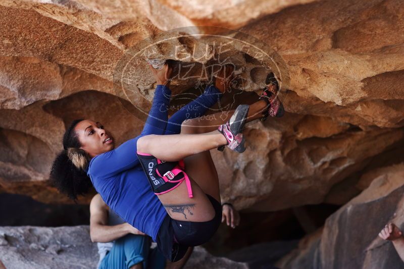 

Filename: SRM_20170312_1128570.jpg
Aperture: f/2.8
Shutter Speed: 1/400
Body: Canon EOS-1D Mark II
Lens: Canon EF 85mm f/1.2 L II