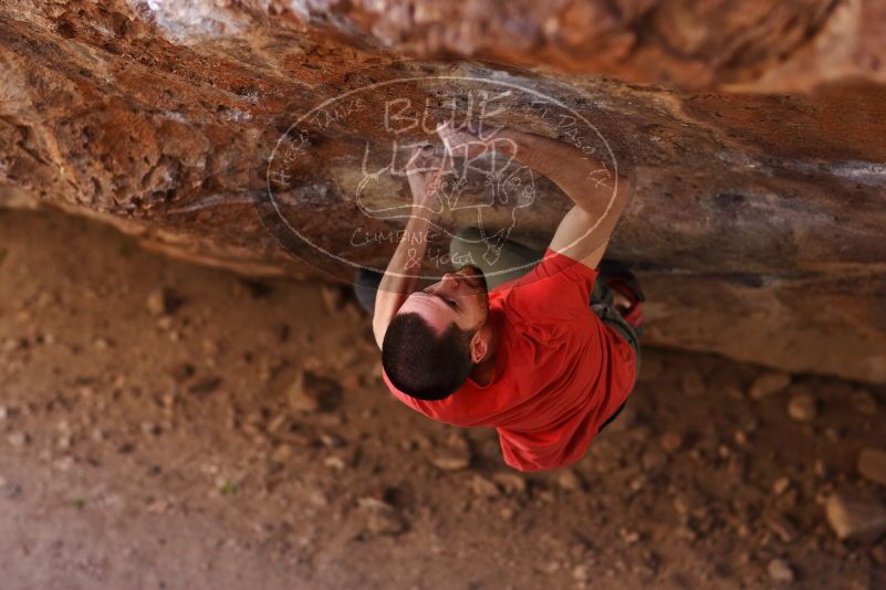 

Filename: SRM_20170314_0958080.jpg
Aperture: f/2.2
Shutter Speed: 1/400
Body: Canon EOS-1D Mark II
Lens: Canon EF 85mm f/1.2 L II