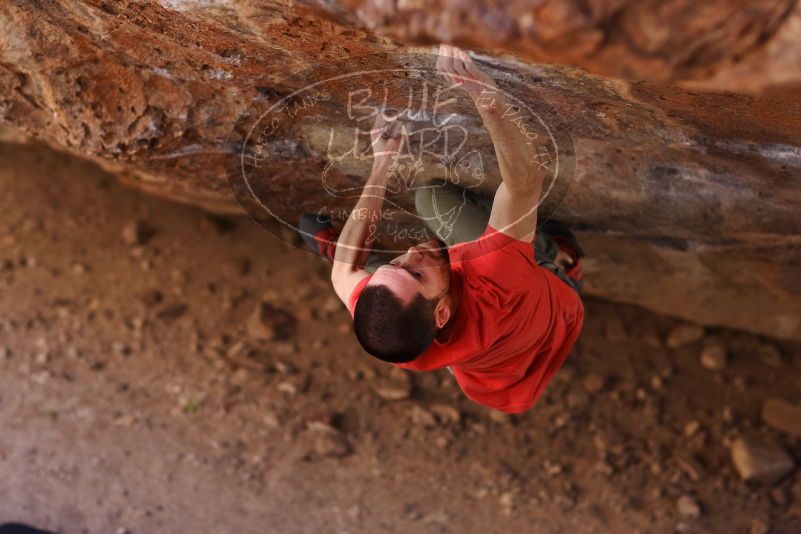 

Filename: SRM_20170314_1002090.jpg
Aperture: f/2.2
Shutter Speed: 1/400
Body: Canon EOS-1D Mark II
Lens: Canon EF 85mm f/1.2 L II