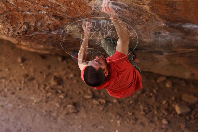 

Filename: SRM_20170314_1010151.jpg
Aperture: f/2.2
Shutter Speed: 1/400
Body: Canon EOS-1D Mark II
Lens: Canon EF 85mm f/1.2 L II