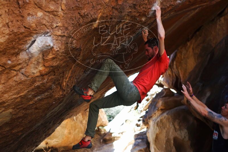 

Filename: SRM_20170314_1109001.jpg
Aperture: f/2.8
Shutter Speed: 1/400
Body: Canon EOS-1D Mark II
Lens: Canon EF 50mm f/1.8 II