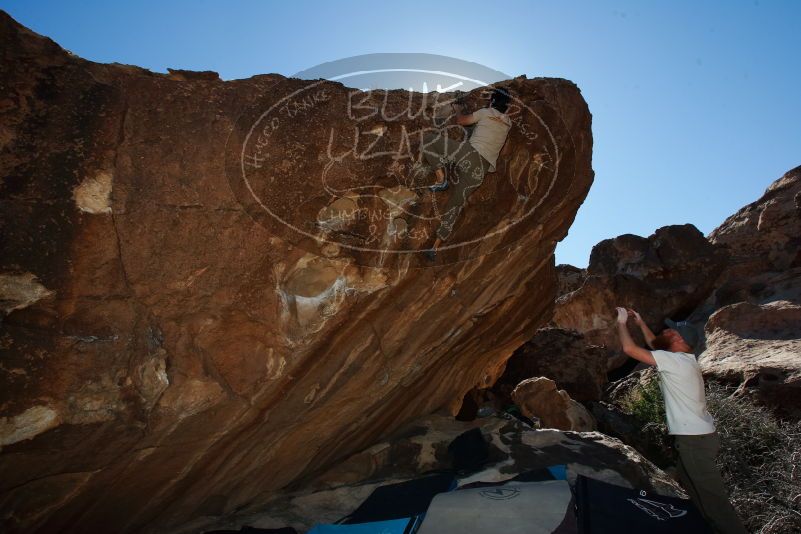 

Filename: SRM_20170314_1445200.jpg
Aperture: f/8.0
Shutter Speed: 1/250
Body: Canon EOS-1D Mark II
Lens: Canon EF 16-35mm f/2.8 L