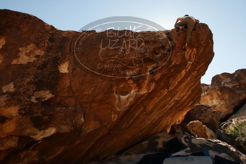 

Filename: SRM_20170314_1446031.jpg
Aperture: f/8.0
Shutter Speed: 1/250
Body: Canon EOS-1D Mark II
Lens: Canon EF 16-35mm f/2.8 L