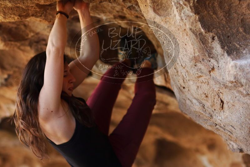

Filename: SRM_20170315_1522120.jpg
Aperture: f/2.0
Shutter Speed: 1/320
Body: Canon EOS-1D Mark II
Lens: Canon EF 85mm f/1.2 L II