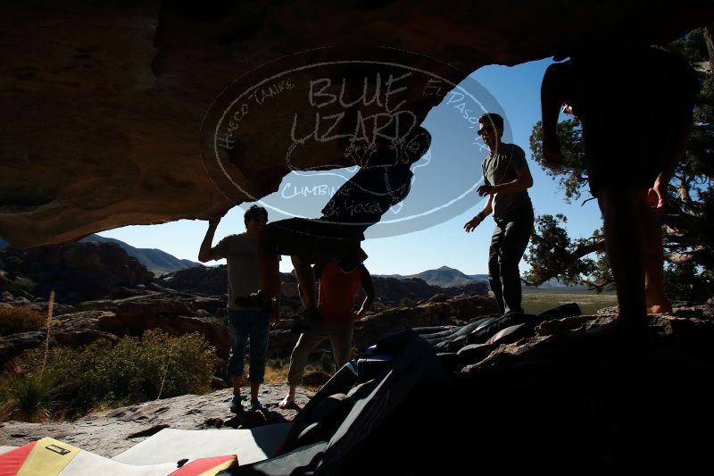 

Filename: SRM_20170318_0949350.jpg
Aperture: f/8.0
Shutter Speed: 1/500
Body: Canon EOS-1D Mark II
Lens: Canon EF 16-35mm f/2.8 L