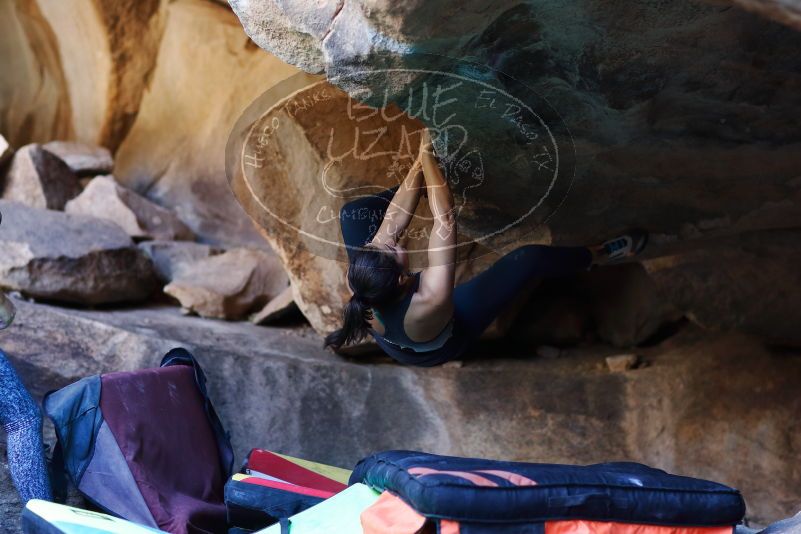 

Filename: SRM_20170317_1315191.jpg
Aperture: f/2.0
Shutter Speed: 1/250
Body: Canon EOS-1D Mark II
Lens: Canon EF 85mm f/1.2 L II